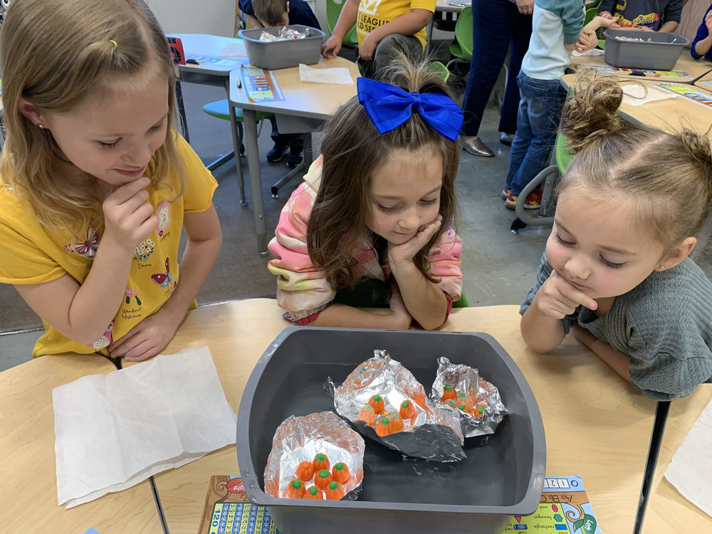 STEM at Carder